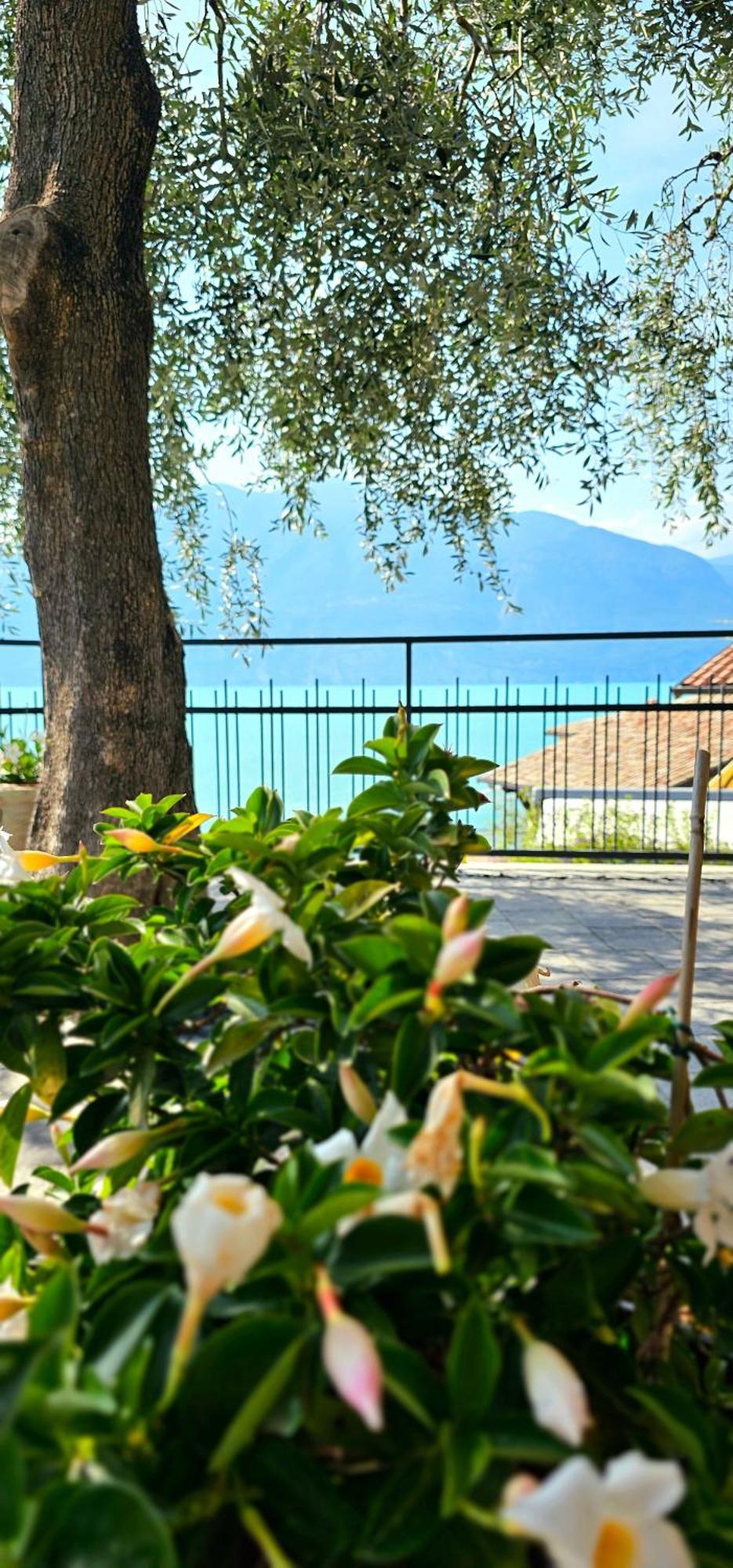 Apartament 59 Brenzone sul Garda Eksteriør bilde